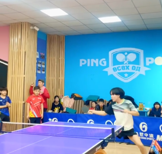 shireenii tennis