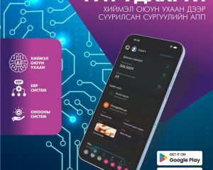 561683482_1175212738040081_8438026919943409300_n